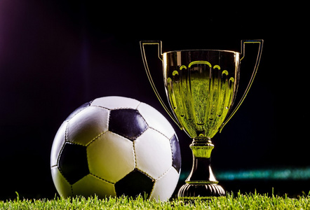 球爱好者树 球爱好者树